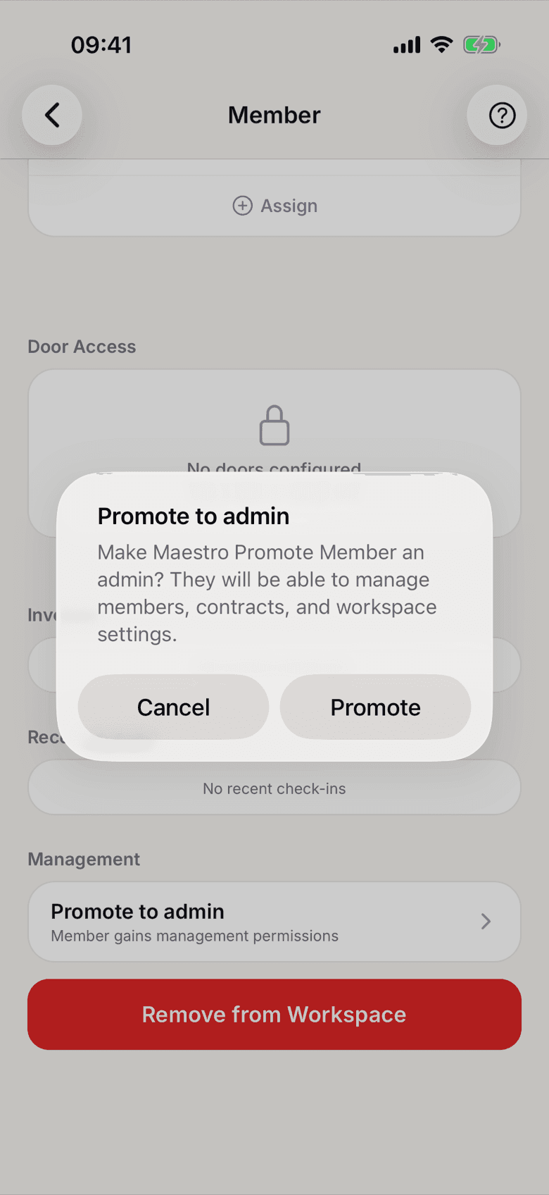 Confirmation before promoting to admin